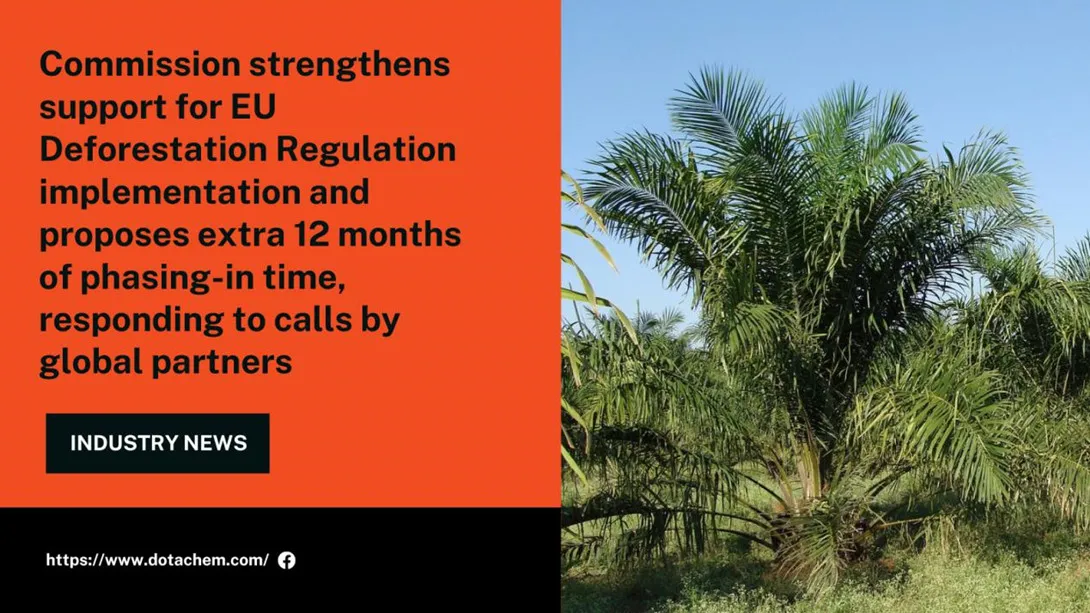 Ang Epekto ng EU Deforestation Regulation sa Raw Material Prices: Pag-navigate sa Tumataas na Gastos ng Palm Oil para sa Fatty Alcohol Ethoxylates