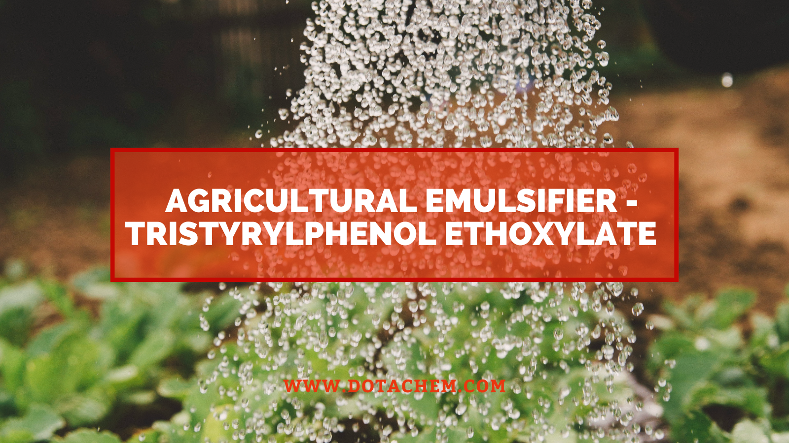 Ang isang bagong pagpipilian para sa agrikultura emulsifier - ang tristyrylphenol ethoxylate ng Dotachem ay propesyonal na ibinibigay!