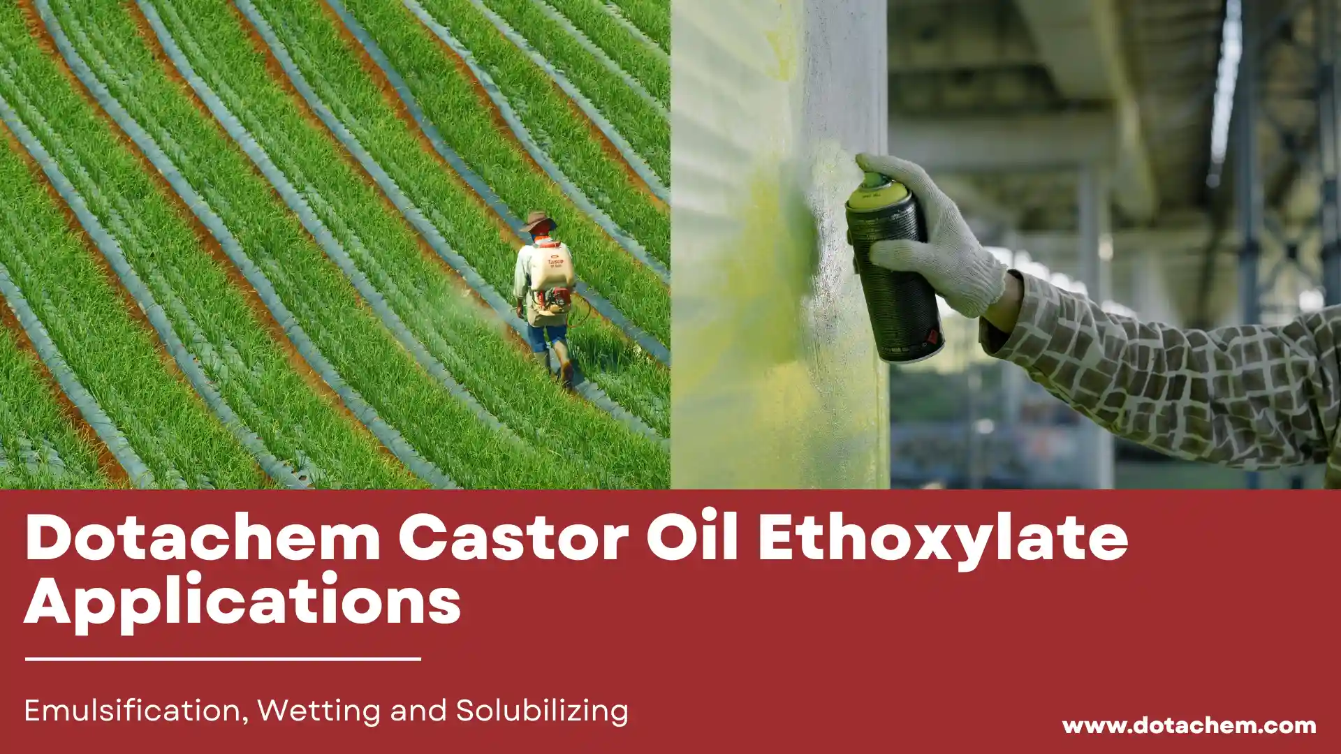 Dotachem Castor Oil Ethoxylate Applications sa Emulsification, Wetting at Solubilizing