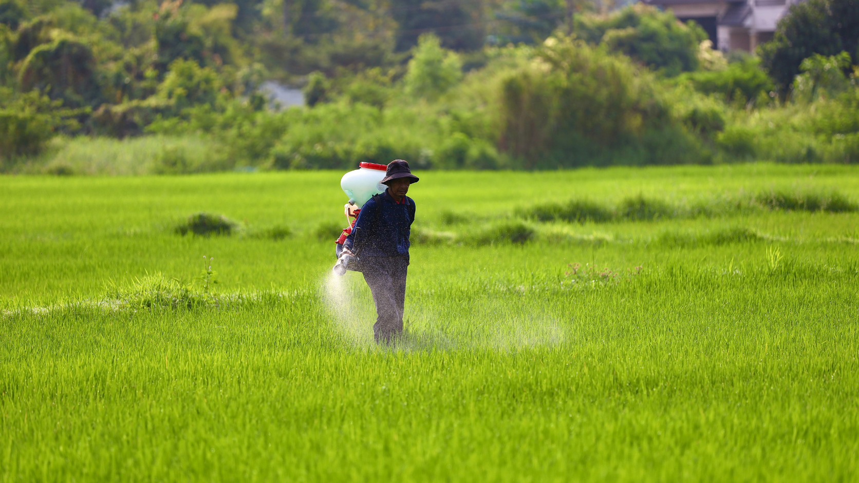 Ano ang Ginagamit para sa Monoethanolamine sa Agrochemicals?
